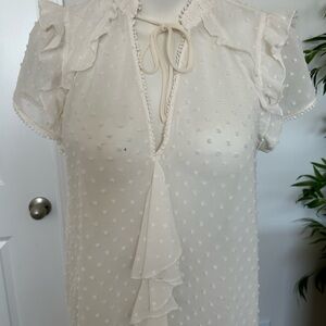 Zara Basic Cream Polka Dot Blouse with Tie Neck